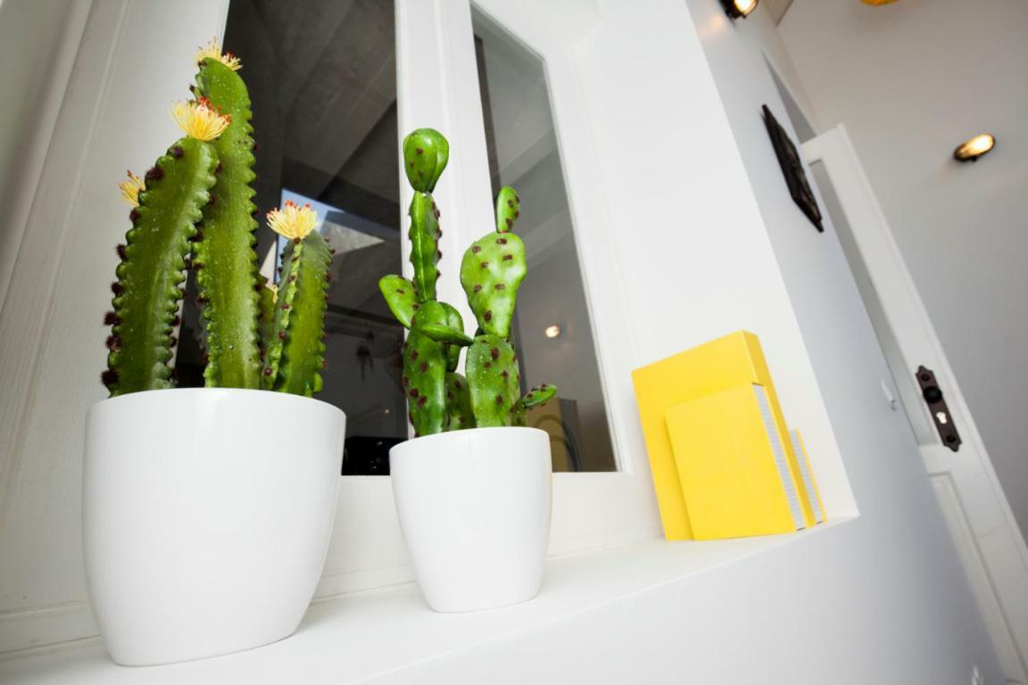 Get A Cactus And Books Studio OOporto Exterior foto